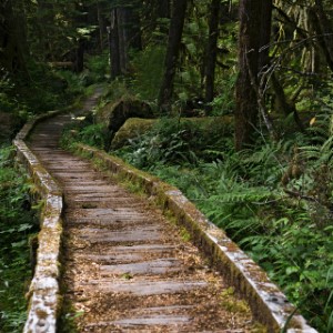 Olympic National Park